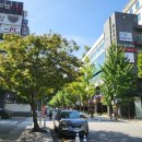 서현역.분당우체국 이미지