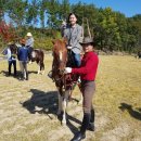 승마공원 이미지