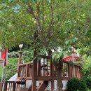 축령산 히든벨리 이미지