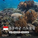 블루라군 | 발리 스노쿨링 업체 추천 : 호랑이발리투어 탄중제푼 블루라군 투어 내돈내산 후기