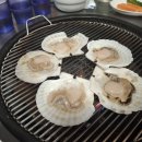 구울래