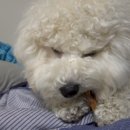 무한뽑기 이미지