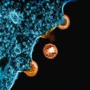 제경한의원 | 대상포진 한의원 실비 청구 가이드와 팁