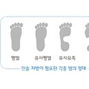 유어핏(Your Fit) 이미지