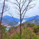 압곡 | 합천호 주변 봉산면 석가산 압곡교 원점 ( 경남, 합천 )