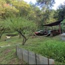 기장땅부동산공인중개사사무소 이미지