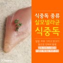연산동물병원 이미지