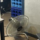 지산2로 | [평택/송탄맛집] 지산동 장신 순이네 내돈내산 후기