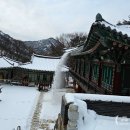 고양 노적사 사자상 | 부왕동암문-나월봉-나한봉-청수동암문-문수봉-대남문-태고사-산영루-노적사 (누적883m _ 25.01.30)-2편