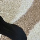 다안세탁 이미지