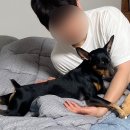 묭
