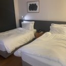 스테이 드레곤 이미지