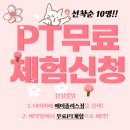 피티샵 이미지