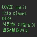 메가그릿 이미지