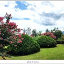 칠곡 가실성당 이미지