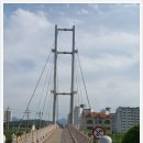 평화양봉원