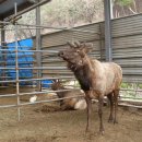 임씨네농장 이미지