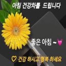 보는 눈 이미지