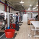 태화강클리닝 이미지