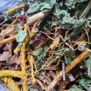 약산농장 이미지