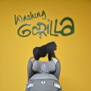 워싱고릴라 | 워싱고릴라 안양점 카시트 세탁 후기