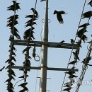 한국전력공사사천지점 이미지