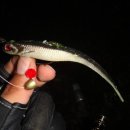 광려천주유소 이미지