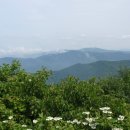 진고개공원 이미지