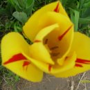 안산천1 이미지