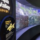 소다아쿠아