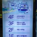 여수 낭만포차 야시장 비올때 애견동반 실내포차