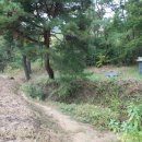 봉남리 삼층석탑 이미지