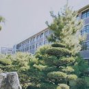 전주제일고등학교 이미지