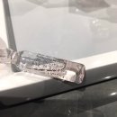 에스빌라트 | 11월 일상이야기 (만년설딸기, 얼음골사과, 불로황)