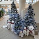 동백꽃약국 이미지