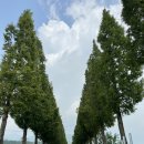 덕산펜션 이미지