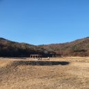 [여주 관광 2] 고려시대 대가람 여주 고달사지