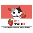이시그코리아 이미지