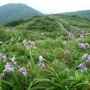 무주화원 이미지