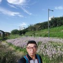 나눔당구장 이미지