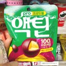 내돈내산 츄잉 프로틴볼 액틴 프로틴 후기