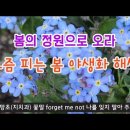 정원에 심어진 꽃 / 신구대학교 / 싸돌맨 동영상 이미지