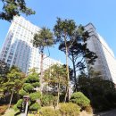 대륙공인중개사사무소 이미지