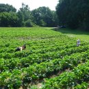 천사유치원 이미지