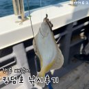 번3파출소 화장실 | 강릉배낚시 킹덤호 | 초보도 가능한 가자미 도다리 낚시 체험 후기