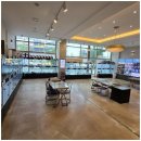 창원강아지분양 고양이분양 도그마루 이미지