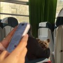 지구오락실 | 리스본 지구오락실 해물밥 맛집_ 우마 UMA 솔직후기