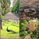 한림환승정류장 | 1월 제주 서쪽 가볼만한곳 한림공원 식물원 동굴