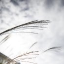 주사랑병원 이미지