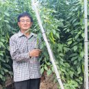 하신농장 이미지